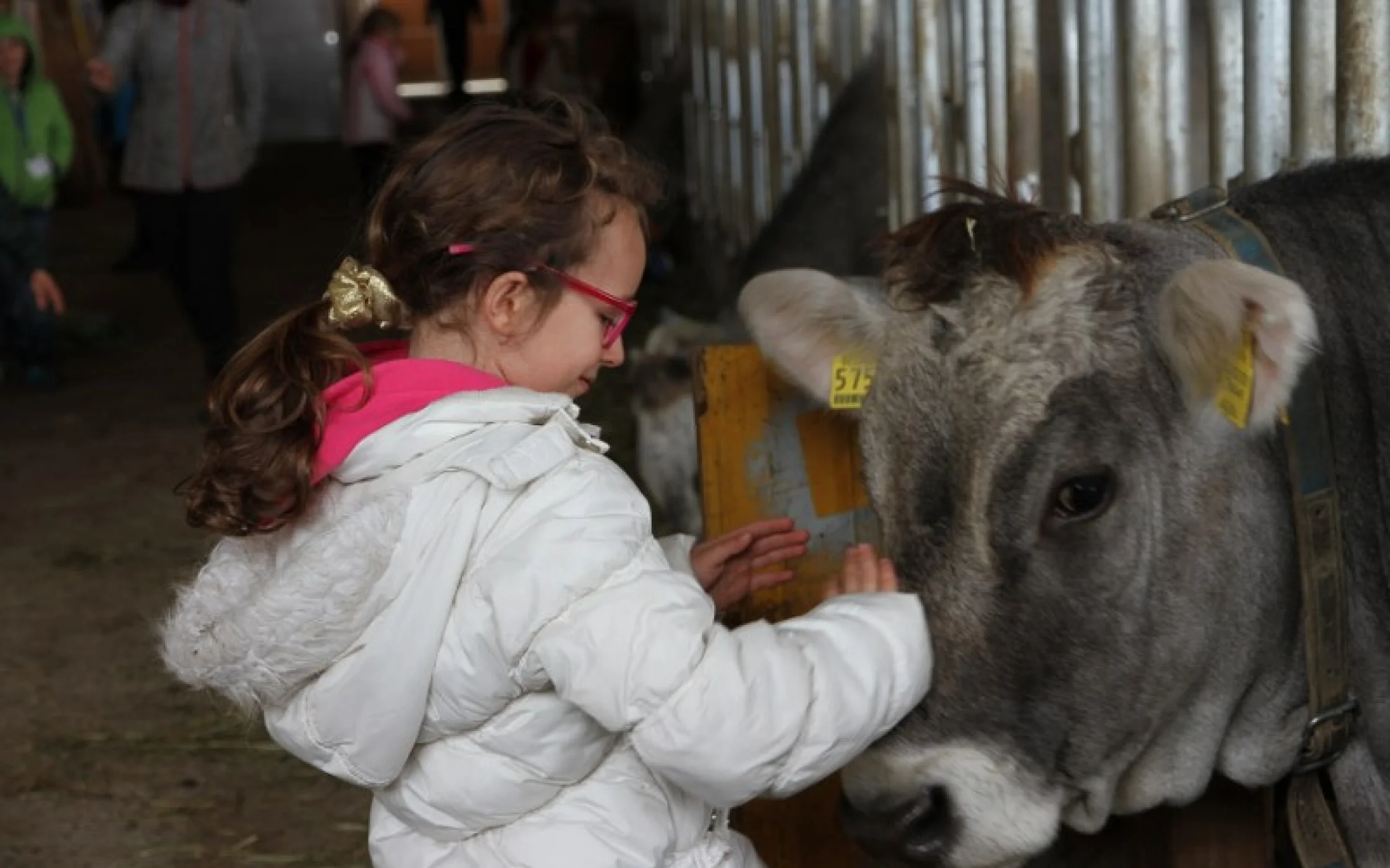 20230414_SAB-Gewinnspiel GS Laurein 177_800x533.JPG